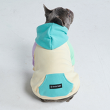 Kusthond hoodie