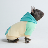 Kusthond hoodie