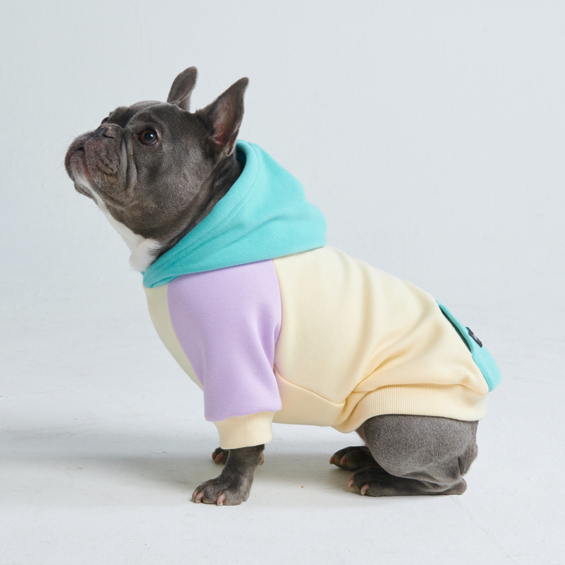Kusthond hoodie