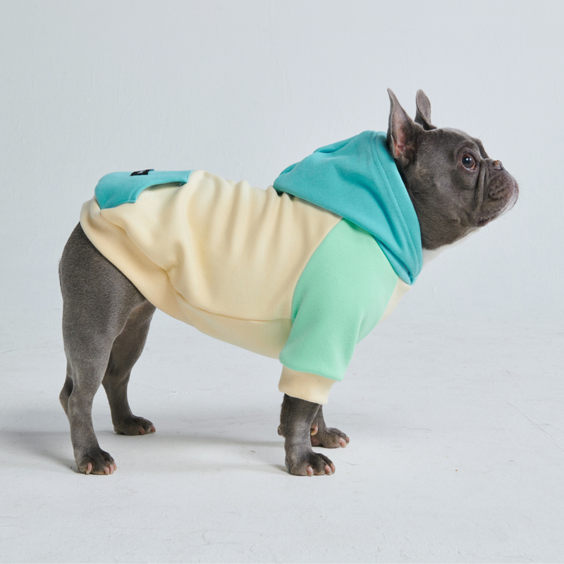 Kusthond hoodie