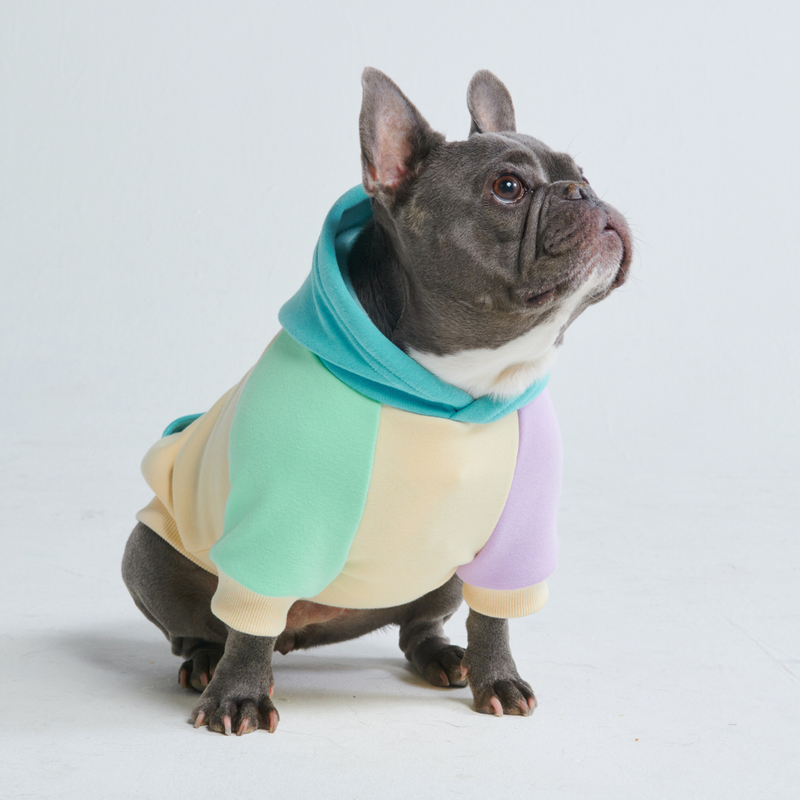 Kusthond hoodie