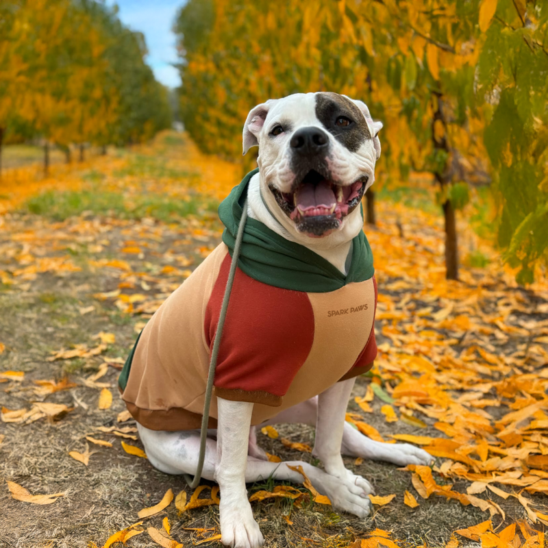 size:S,M,L,XL,2XL,3XL,4XL,5XL