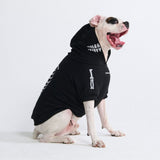 Halloween Dog Hoodie - Reflective Skeleton