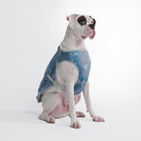 Hondenkoelvest - Ijsblauw
