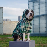 Groene geruite hondenhoodie