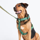 Comfort Control hondenharnasset zonder trekkracht - leger groen