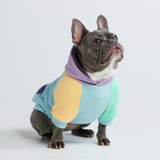 Daydream hond hoodie