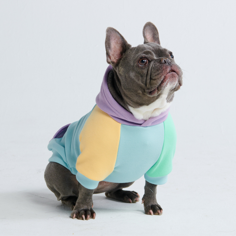 Daydream hond hoodie