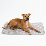 Clouds Grey||size:L,XL,2XL