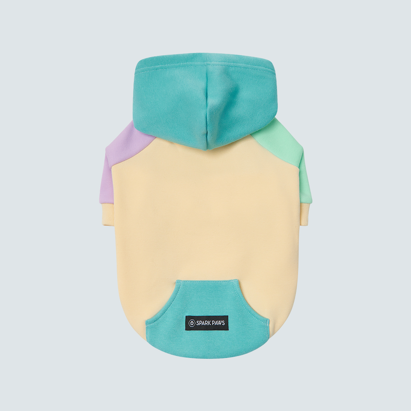 Kusthond hoodie