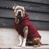 Teddy Sherpa hondenjas - Kastanjebruin