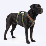 Green Brown Escape Proof||size:5
