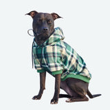 Groene geruite hondenhoodie