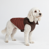 Brown PuffShield Jacket||size:2XL