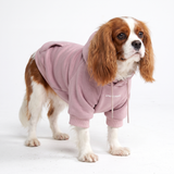 Essentiële hondenhoodie - Paars Taupe