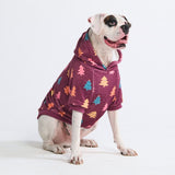 Hondenhoodie (velours zacht)