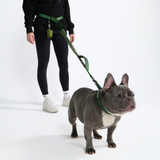 Green Neoprene Leash