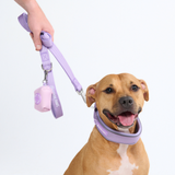 Lilac Martingale Collar||size:C,D,E