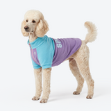 Aqua Lilac Plush Fleece Dog Sweater||size:2XL