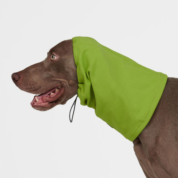 Angst kalmerende hond oorbeschermer - Limoen