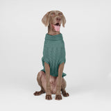 Cable Knit Dog Sweater - Pine Green