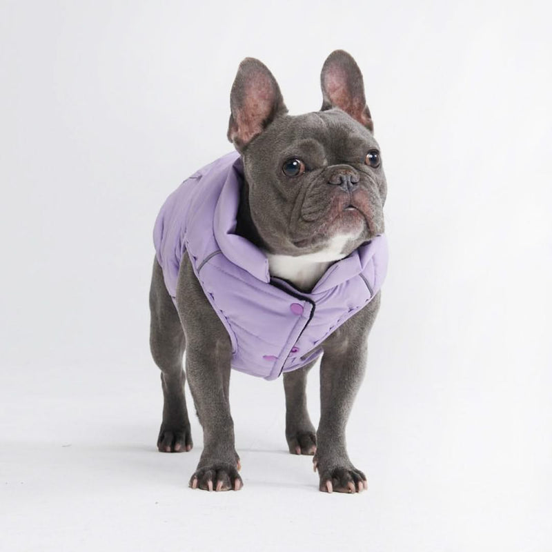 WarmShield waterbestendig jack - Lila (maat 4XL)