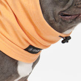 Angst kalmerende hond oorbeschermer - Oranje