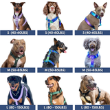 Comfort Control hondentuig zonder trekkracht - Ijshoorntje