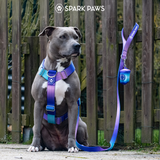 90s Retro Harness||size:S,M,L