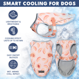 Peaches Cooling Vest||size:S,M,L,XL,2XL,3XL,4XL