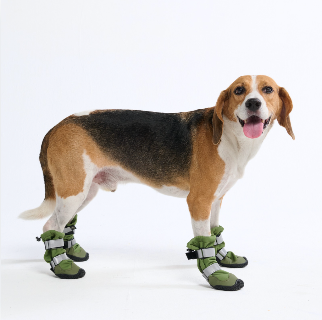 Flex Shell Waterproof Dog Boots Green – SPARK PAWS
