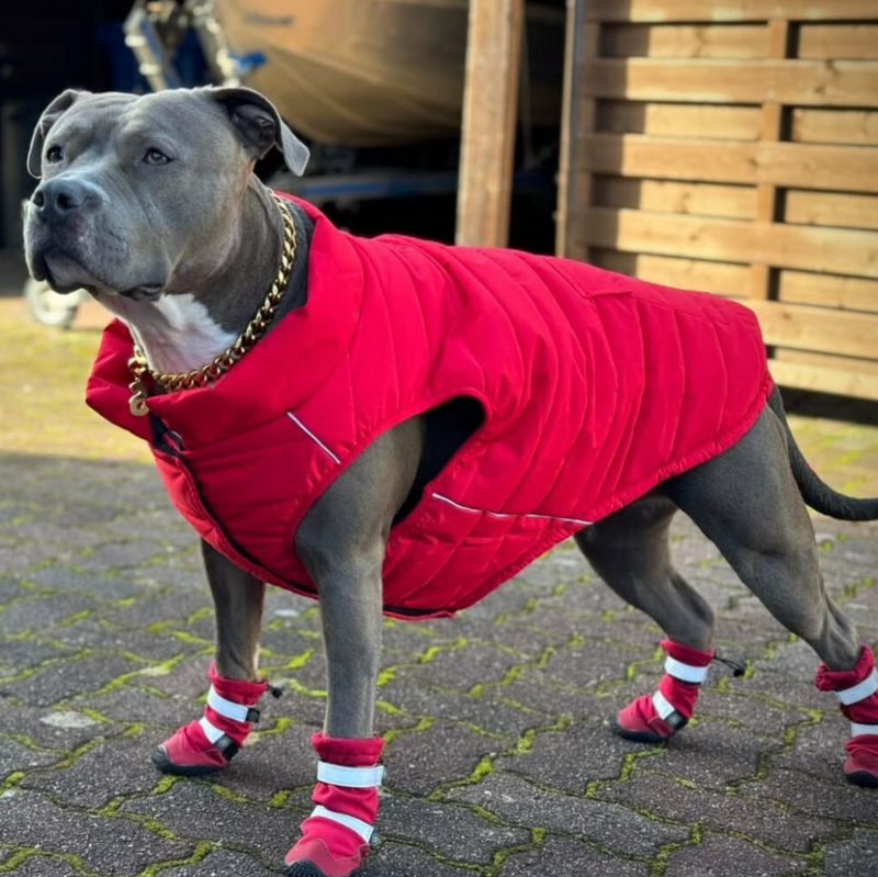 Flex Shell waterbestendige hondenlaarzen - Rood
