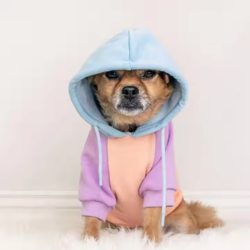 Suikerspin hond hoodie