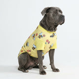 Bees Shirt||size:4XL,5XL