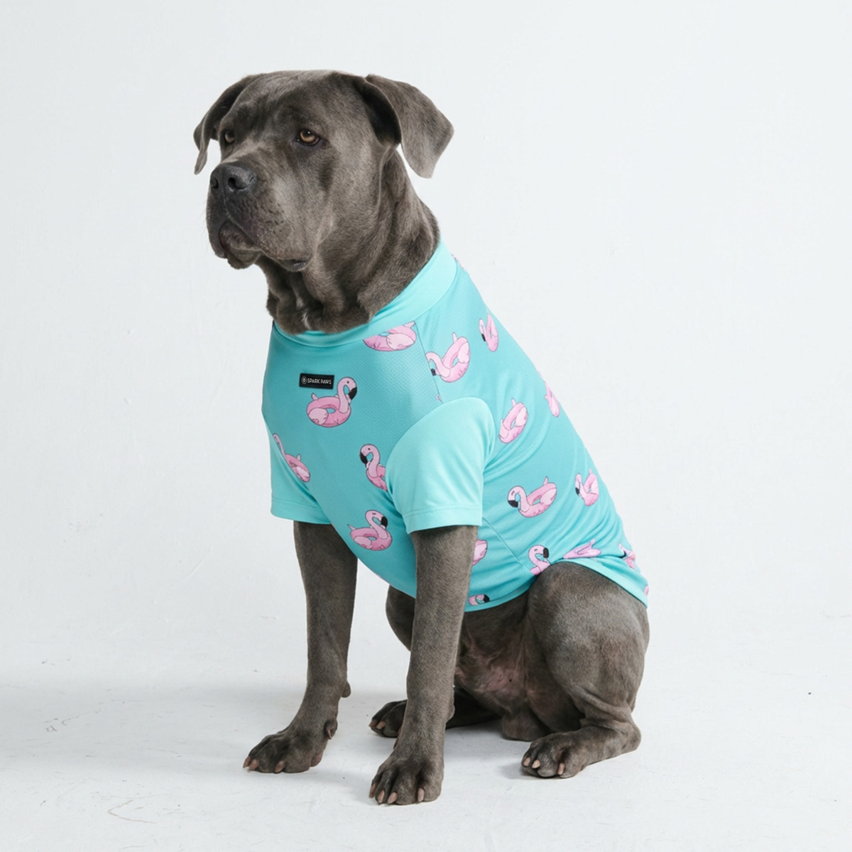 Summer Collection  SPARK PAWS