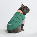 Pistachio Shirt||size:L,XL