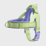 Violet Lime Grab and Go||size:1,2,3,4,5,6