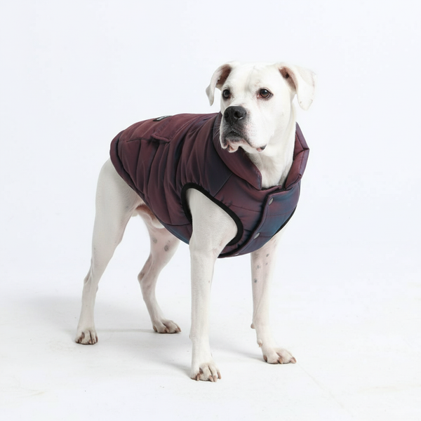 WarmShield Waterbestendige Jacket - Cosmic