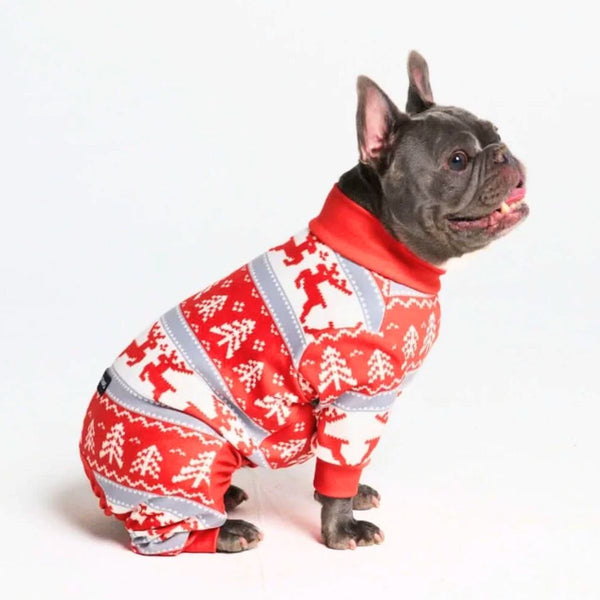 Hondenkerstpyjama - Winter Wonderland