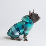 Fluwelen hondenhoodie - Turkoois geruit