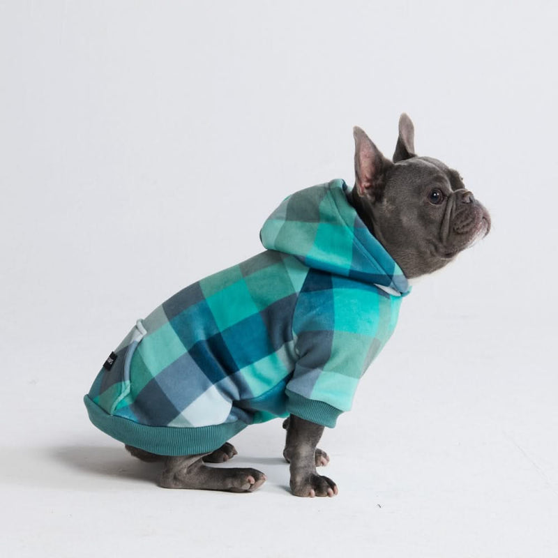 Fluwelen hondenhoodie - Turkoois geruit
