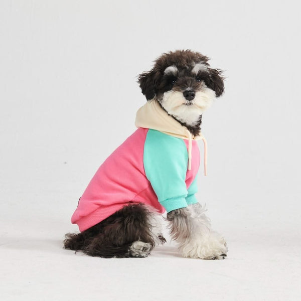 Pink Turquoise Cream Color Block Dog Hoodie