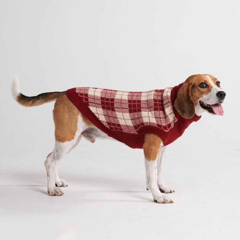 Rode geruite hond gebreide trui