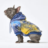 Fluwelen hondenhoodie - Nova
