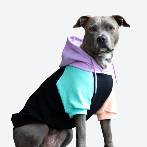 Cyberpunk hond hoodie