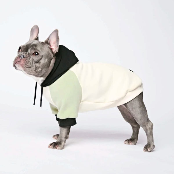 Olijfcrème hondenhoodie
