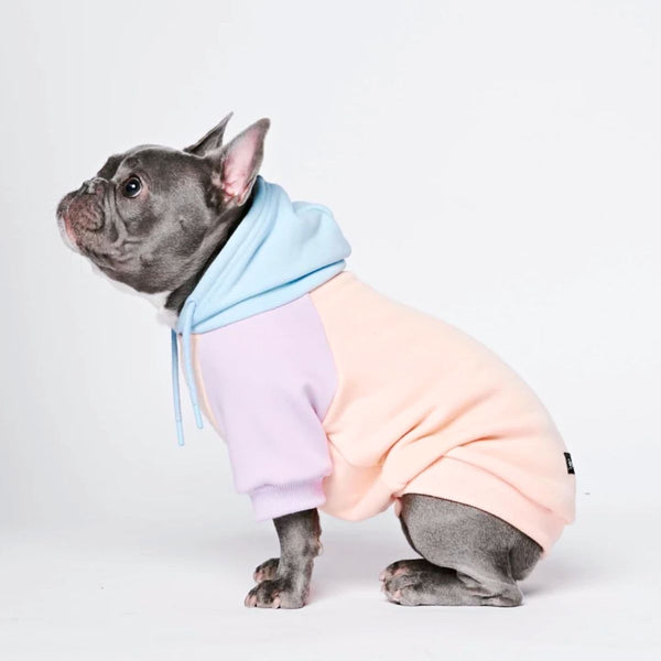 Suikerspin hond hoodie