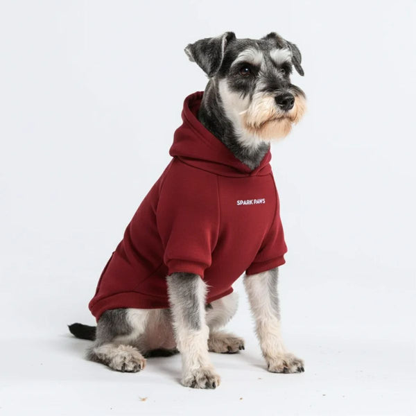 Essentiële hondenhoodie - Bourgondië