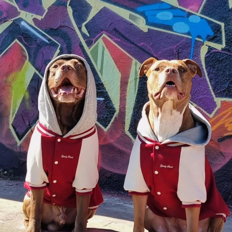 Dog Varsity Jacket - Rood
