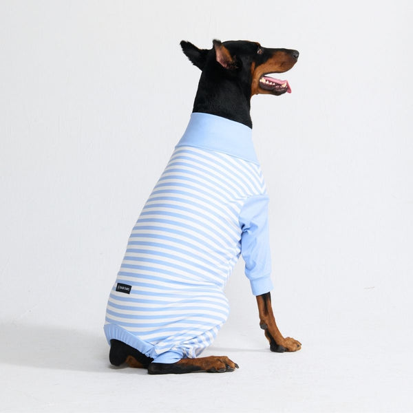 Hondenpyjama - Blauwe Strepen